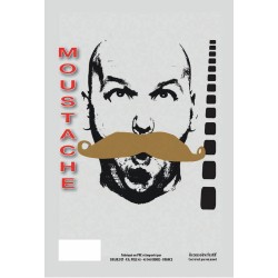 Moustache gendarme blonde