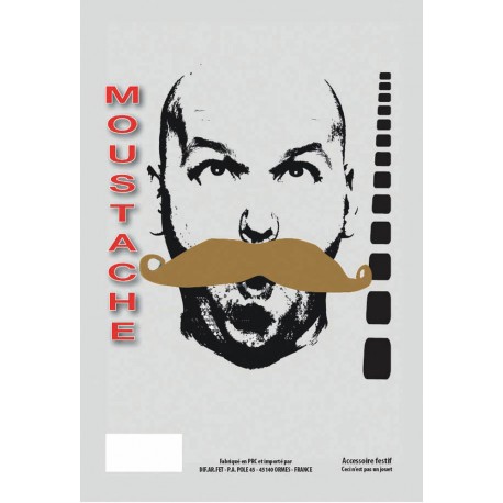 Moustache gendarme blonde