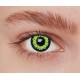 Lentilles loup vert 