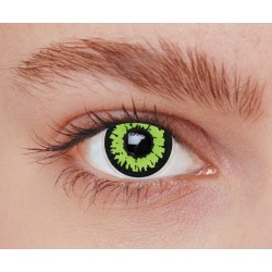 Lentilles loup vert 