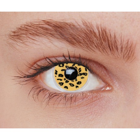 Lentilles leopard 