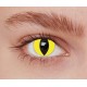 Lentilles chat jaune