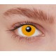 Lentilles iris orange 