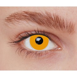 Lentilles iris orange 