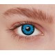 Lentilles loup bleu 