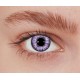 Lentilles classiques violettes