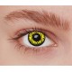 Lentilles loup jaune 