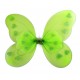 Ailes de papillon vert