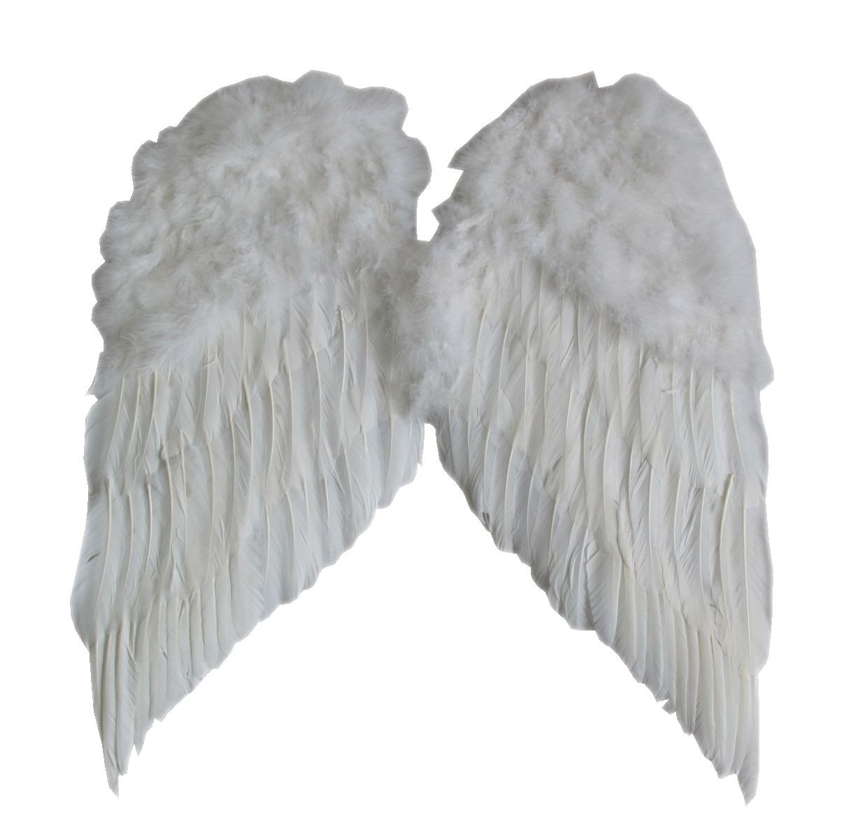 Ailes d'ange en plumes blanches 60 x 55 cm - Fete à paris