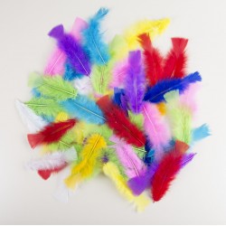 Assortiment de plumes 