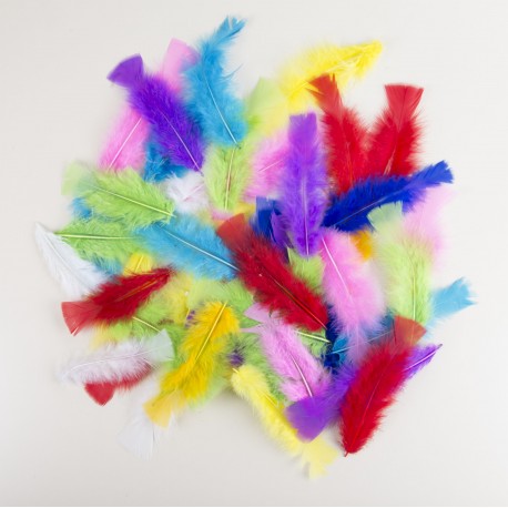 Assortiment de plumes 