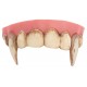 Dentier vampire dents sales