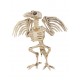 Squelette de corbeau 