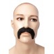Moustache 1900