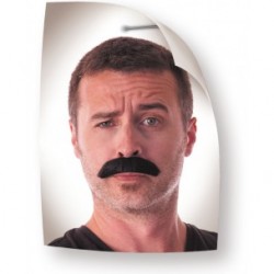 Moustache Dupont noire 