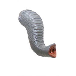 Trompe d'éléphant 