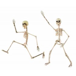 squelette articulé