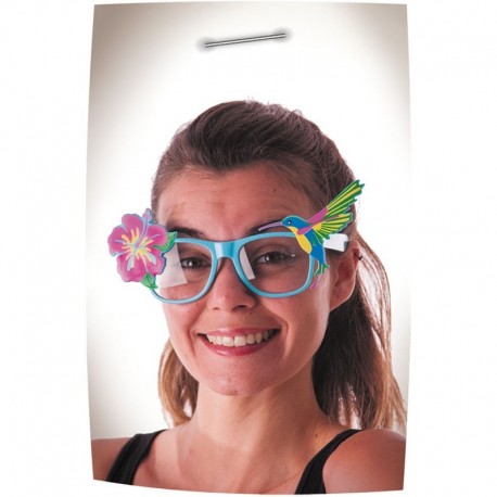 Lunettes hibiscus 