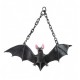 Chauve-souris 