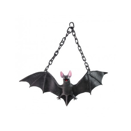 Chauve-souris 